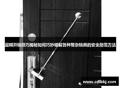 盗贼开锁技巧揭秘如何巧妙破解各种复杂锁具的安全防范方法
